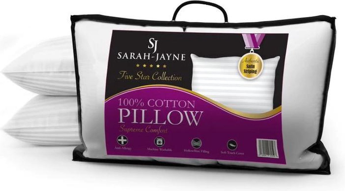 SARAH JAYNE 2 LARGE PILLOWS